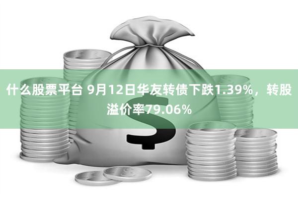 什么股票平台 9月12日华友转债下跌1.39%，转股溢价率79.06%