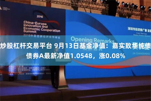 炒股杠杆交易平台 9月13日基金净值：嘉实致华纯债债券A最新净值1.0548，涨0.08%