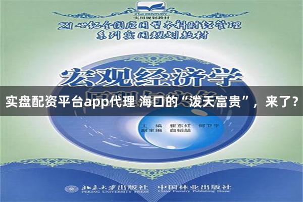 实盘配资平台app代理 海口的“泼天富贵”，来了？