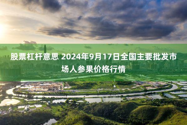 股票杠杆意思 2024年9月17日全国主要批发市场人参果价格行情