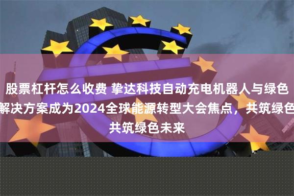 股票杠杆怎么收费 挚达科技自动充电机器人与绿色能源解决方案成为2024全球能源转型大会焦点，共筑绿色未来