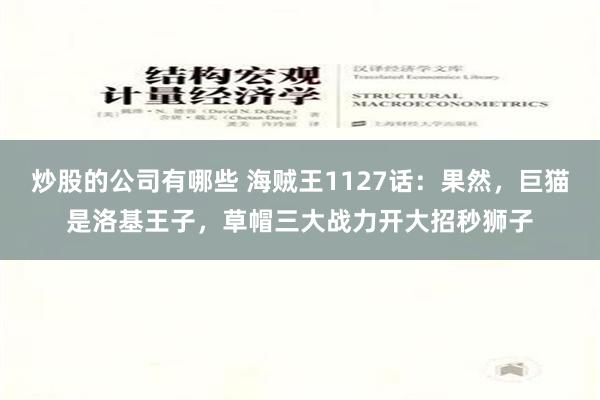 炒股的公司有哪些 海贼王1127话：果然，巨猫是洛基王子，草帽三大战力开大招秒狮子