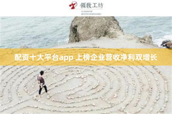 配资十大平台app 上榜企业营收净利双增长