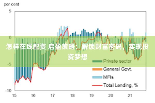 怎样在线配资 启盈策略：解锁财富密码，实现投资梦想