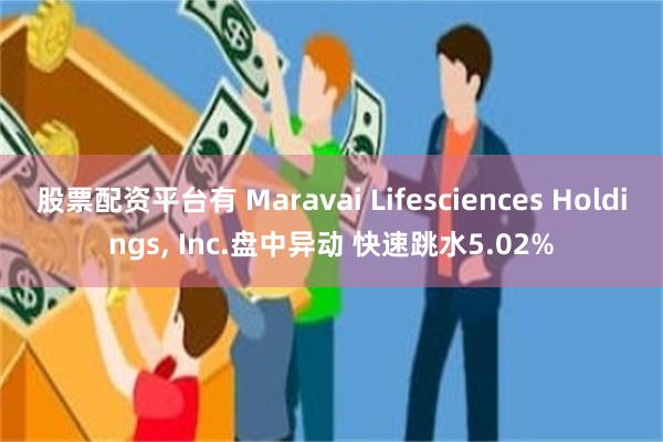 股票配资平台有 Maravai Lifesciences Holdings, Inc.盘中异动 快速跳水5.02%