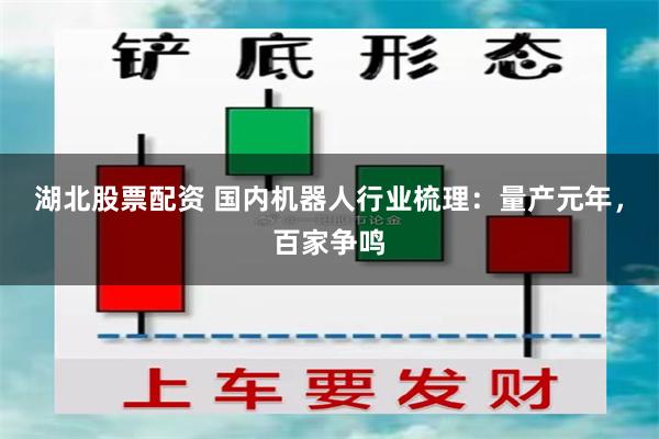 湖北股票配资 国内机器人行业梳理：量产元年，百家争鸣